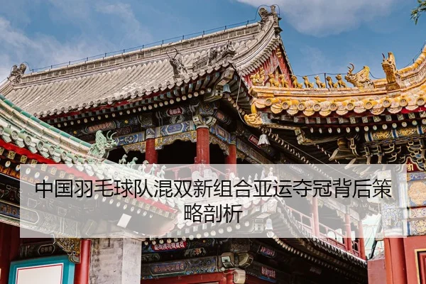 中国羽毛球队混双新组合亚运夺冠背后策略剖析