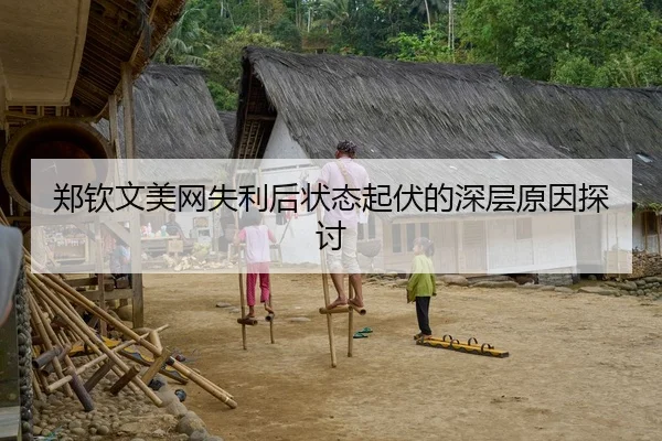郑钦文美网失利后状态起伏的深层原因探讨