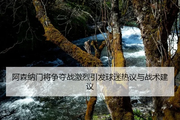 阿森纳门将争夺战激烈引发球迷热议与战术建议